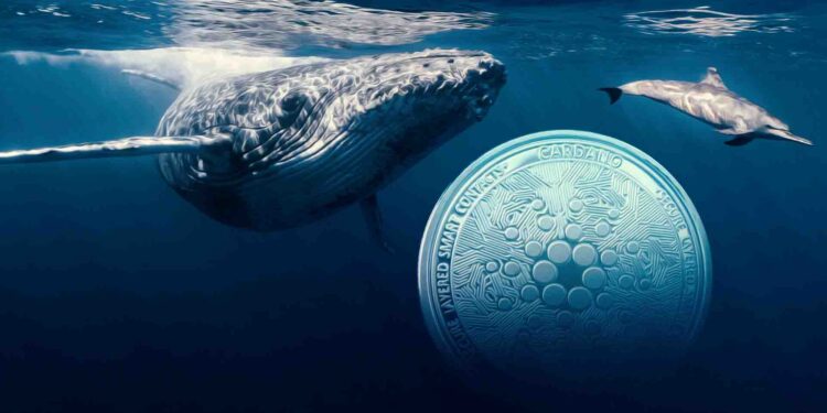 $1,670,000,000 In Cardano Open Interest, ADA Bulls Fueling Big Price Rebound