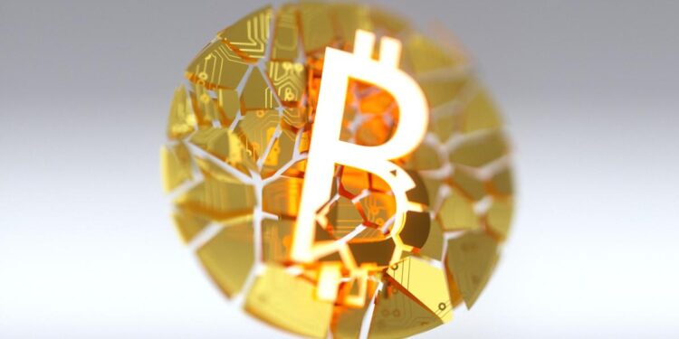 What Would Happen If Bitcoin Totally Crashed?