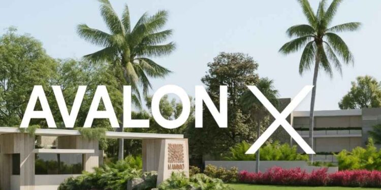 Avalon X Is Set To Be The Next 100x — XRP Maxis Take Notice