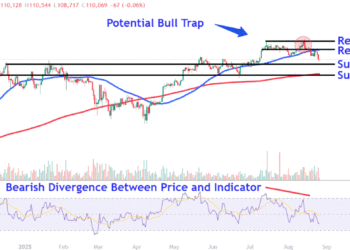 Watch These Bitcoin Levels as Price Drops Below $110,000 for the First Time Since Early July