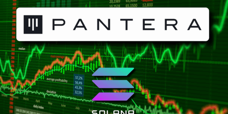 Pantera Capital Plans Institutional Solana Push with Billion-Dollar Fundraise