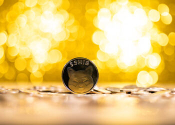 Shiba Inu Integration With Chainlink Introduces A New Way To Burn SHIB