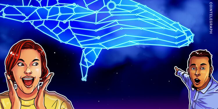 ASTER’s $9M Whale Rotation From HYPE Sparks 480% Rally Narrative