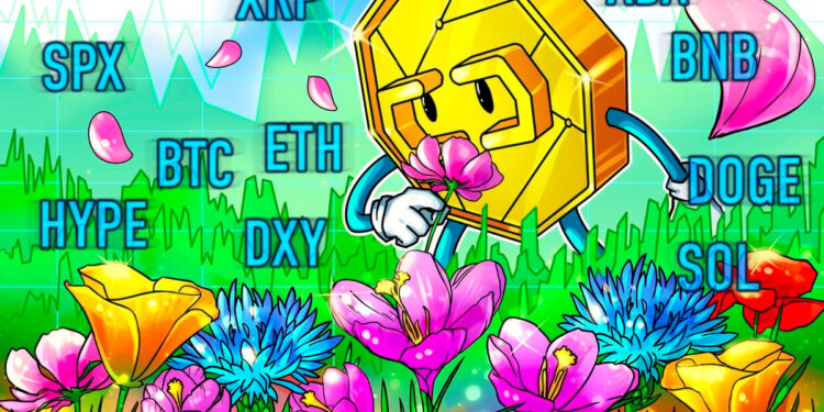 Bitcoin Liquidations Hit 1-Year Record, Altcoins Follow