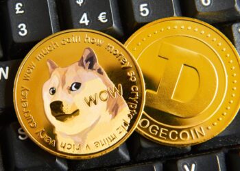 Dogecoin Just Got Its First Ever ETF As Meme Coins Go Mainstream