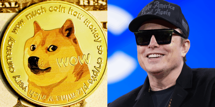 Elon Musk’s favourite cryptocurrency completes ‘revolutionary’ takeover of Italian side as House of Doge CEO says venture goes ‘far beyond football’ – but club have just been deducted 13 points