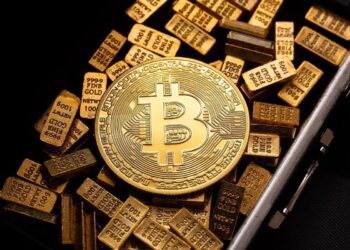 Catalysts for Bitcoin & Altcoins Like DOGE, Cardano, Chainlink, Shiba Inu in September