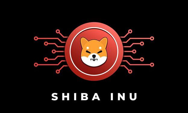 Polkadot Updates & The Latest From