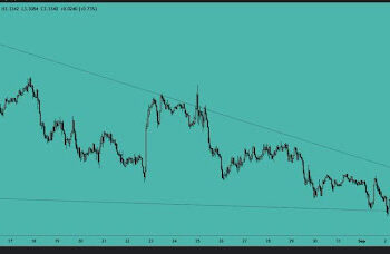 SUI Bulls Target $3.50 After A Breakout From This Key Chart Pattern