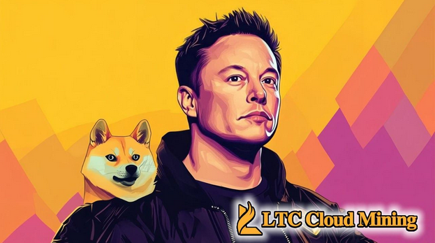 Earn $3,000 a day! Dogecoin becomes the ticket to launching a BTC mining machine