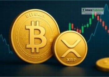 Black Swan Capitalist Founder: XRP Will Decouple from Bitcoin Once This Happens