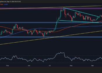 XRP Forms Strong Base for a New All-Time High
