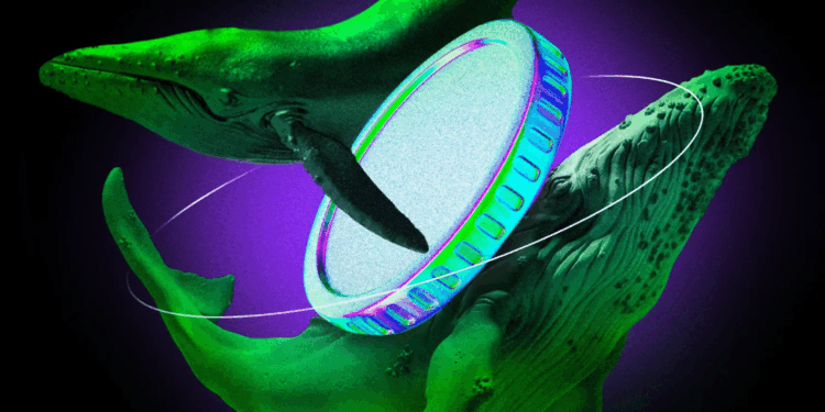 Crypto Whales Bought ONDO, MELANIA, and MYX This Week