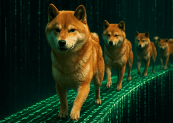 Flash Loan Attack Hits Shibarium Bridge, Draining $2.4 Million – Bitcoin.com News