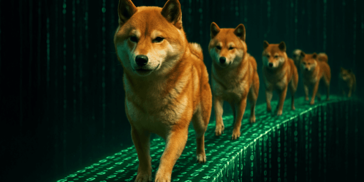 Flash Loan Attack Hits Shibarium Bridge, Draining $2.4 Million – Bitcoin.com News