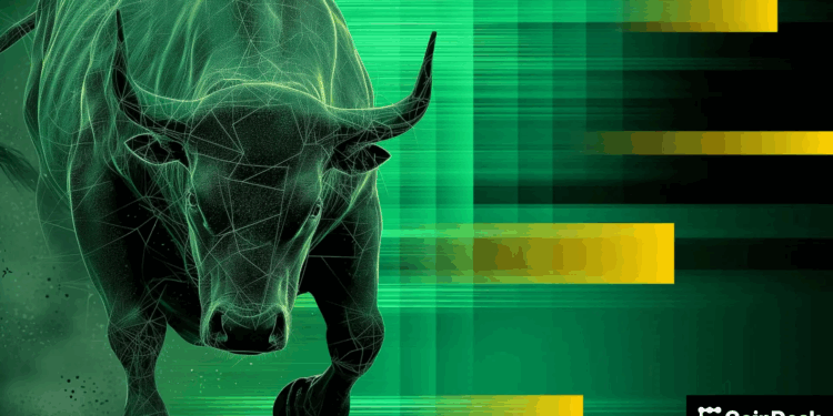 Crypto Bull Market Still Has Legs