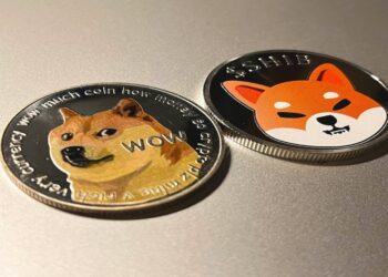 With Dogecoin and Shiba Inu Price Predictions Divided, New Crypto Coins Are Emerging as the Best Crypto to Buy Now