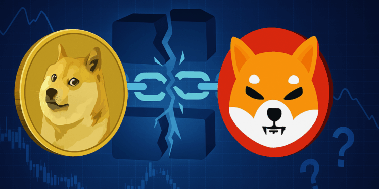 From DOGE to SHIB: Why Are Meme Coins Crashing Today?