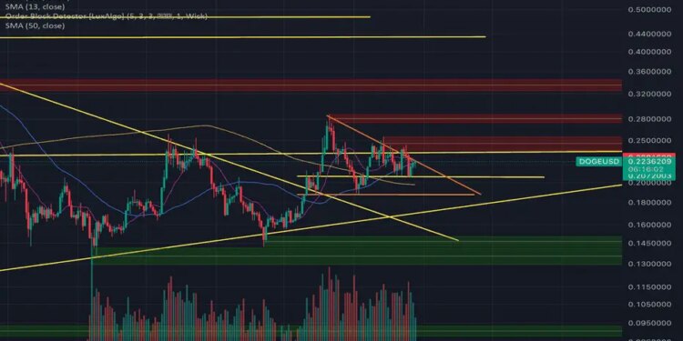 Early Dogecoin & Shiba Inu Holders Made 100x, So What Altcoins Could Produce The Same Results In 2025