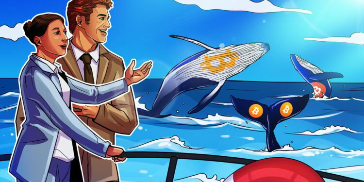 Whales Trade Bitcoin Keys for Comfort