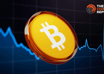 Large Trader Activity Hints At Bitcoin (BTC USD) Price Manipulation