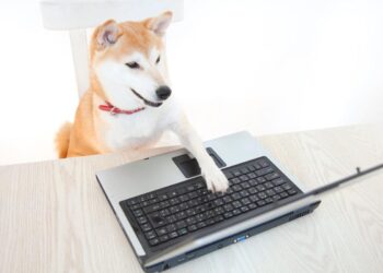 1 Thing Every Shiba Inu Investor Needs to Know