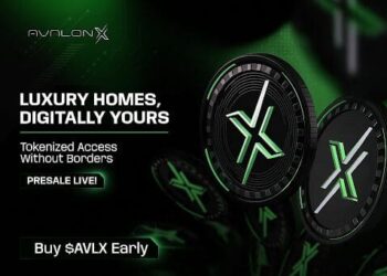 Missing Bitcoin and Ethereum Still Hurts But Avalon X Could Be the Redemption Story