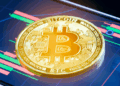 Neverwinter launches Bitcoin Hedge fund