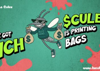 Bitcoin Slips Below $113K While La Culex, FLOKI & Polygon Battle for the Title of the Best 1000x Crypto for November