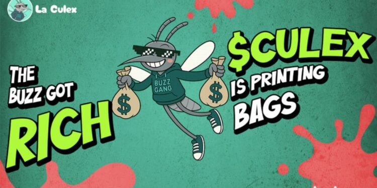 Bitcoin Slips Below $113K While La Culex, FLOKI & Polygon Battle for the Title of the Best 1000x Crypto for November