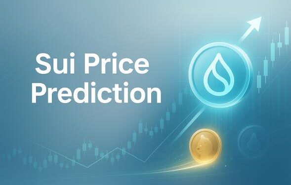 SUI Price Forecast Indicates Strong Q4