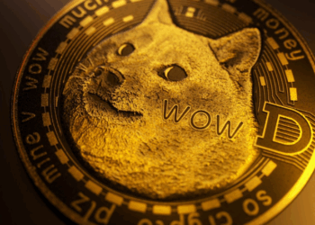 Millions in DOGE Leaving Exchanges, Is Price Pump Imminent?