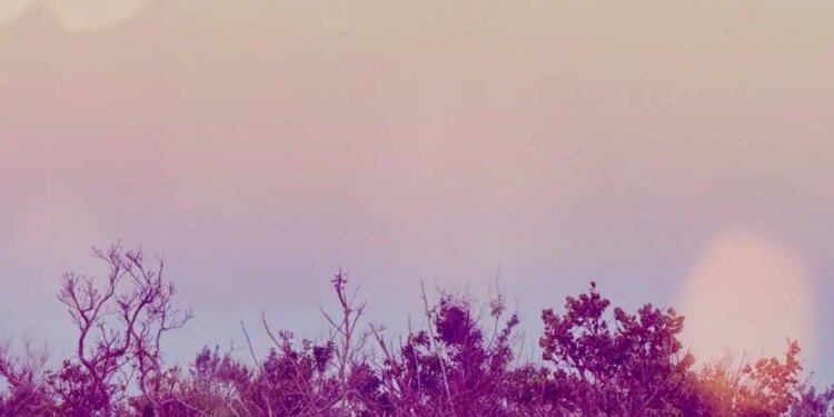 StakingCrypto ETPs: Grayscale Ethereum Trust ETF And Grayscale Ethereum Mini Trust ETF Enable Staking