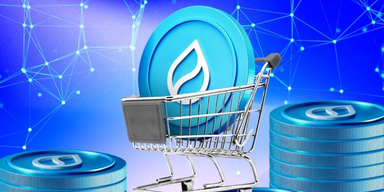 How Sui’s Retail-First Ecosystem Propelled Momentum to $1B Volume – DL News