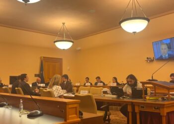 State lawmakers look into cryptocurrency guardrails
