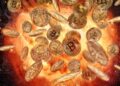 US Crypto Activity Explodes by 50% in 2025 Amid Trump’s Regulatory Pullback