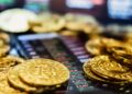Bitcoin and frozen turkeys | Indiana crypto currency investigation stops massive poultry theft