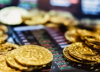 Bitcoin and frozen turkeys | Indiana crypto currency investigation stops massive poultry theft