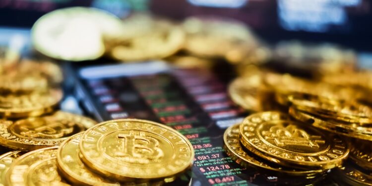 Bitcoin and frozen turkeys | Indiana crypto currency investigation stops massive poultry theft