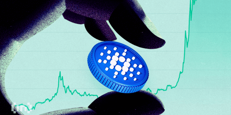 Cardano Whale Holdings Rise To 5-Month High Even As Price Falls To $0.60