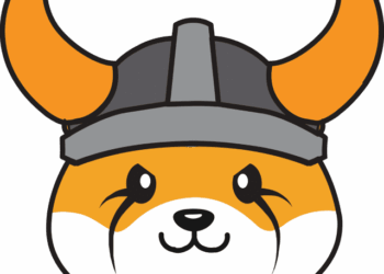 Floki Coin Spikes 30% After Elon Musk’s “X CEO” Tweet — What’s Next?