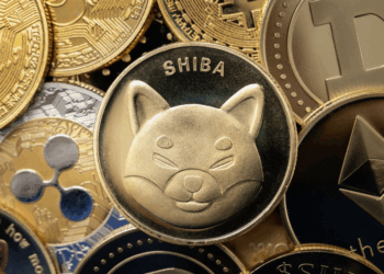 Why are Holders Dumping Cardano & Shiba Inu for Digitap? Multi-Chain Wallet and 0% Transfer Fees Drive 100X Forecasts