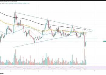 Is Shiba Inu (SHIB) or Mutuum Finance (MUTM) The Next 100x Crypto