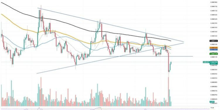 Is Shiba Inu (SHIB) or Mutuum Finance (MUTM) The Next 100x Crypto