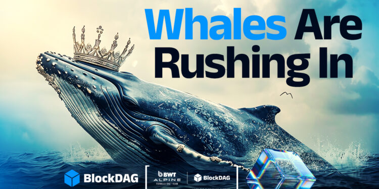 BlockDAG vs XRP, Stellar & Chainlink: Which Is the Best Crypto for the Future?