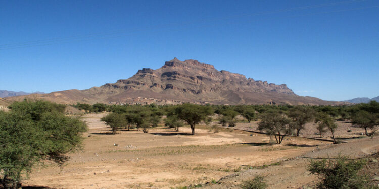 Flutterwave, Polygon Launch African Stablecoin Network