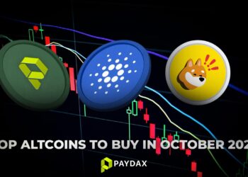 Cardano (ADA), Paydax (PDP), And Bonk (BONK)