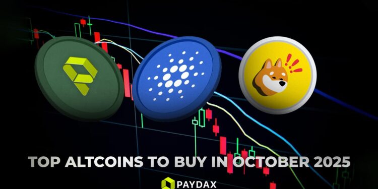 Cardano (ADA), Paydax (PDP), And Bonk (BONK)