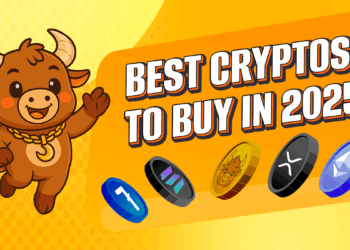 MoonBull Leads With Solana, Polygon