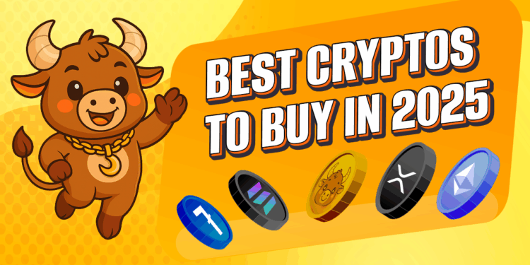 MoonBull Leads With Solana, Polygon